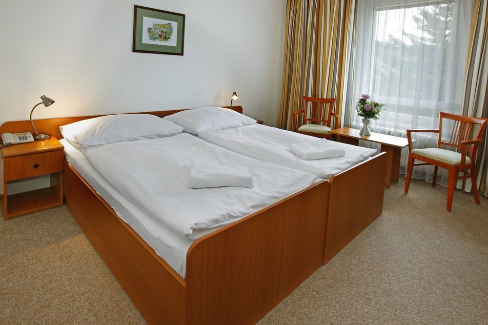 Hotel Spa Devin 4*